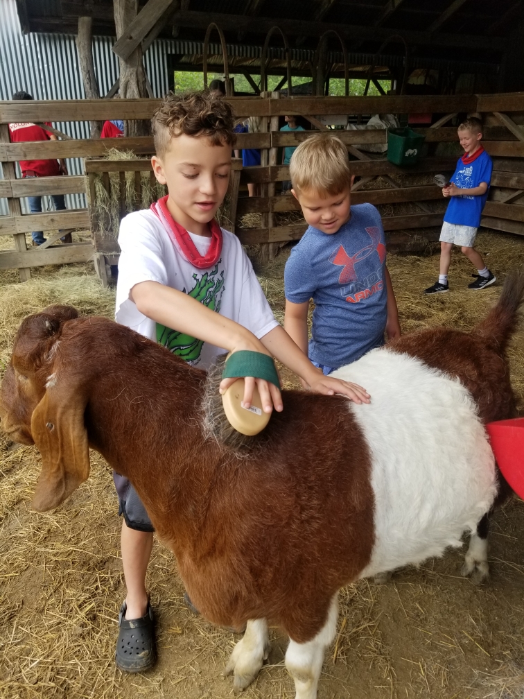Children petting and brushing a donkey in the stables