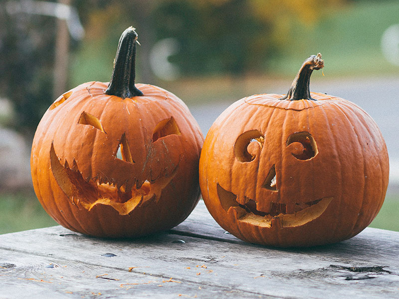 jack o lanterns