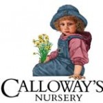 Calloway's Nursery logo