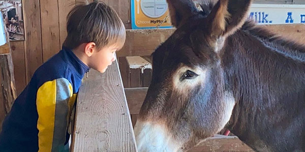 boy with donkey