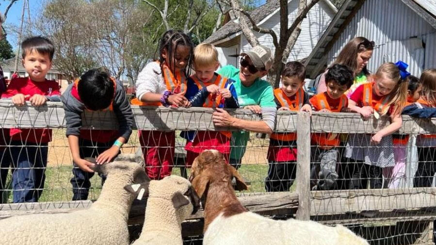 School children petting sheep at the Heritage Farmstead Museum leaning over a fence