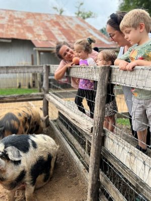 Mom.Kids pigs