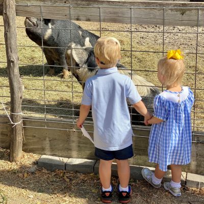 kid with pigs kid with pigs